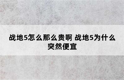 战地5怎么那么贵啊 战地5为什么突然便宜